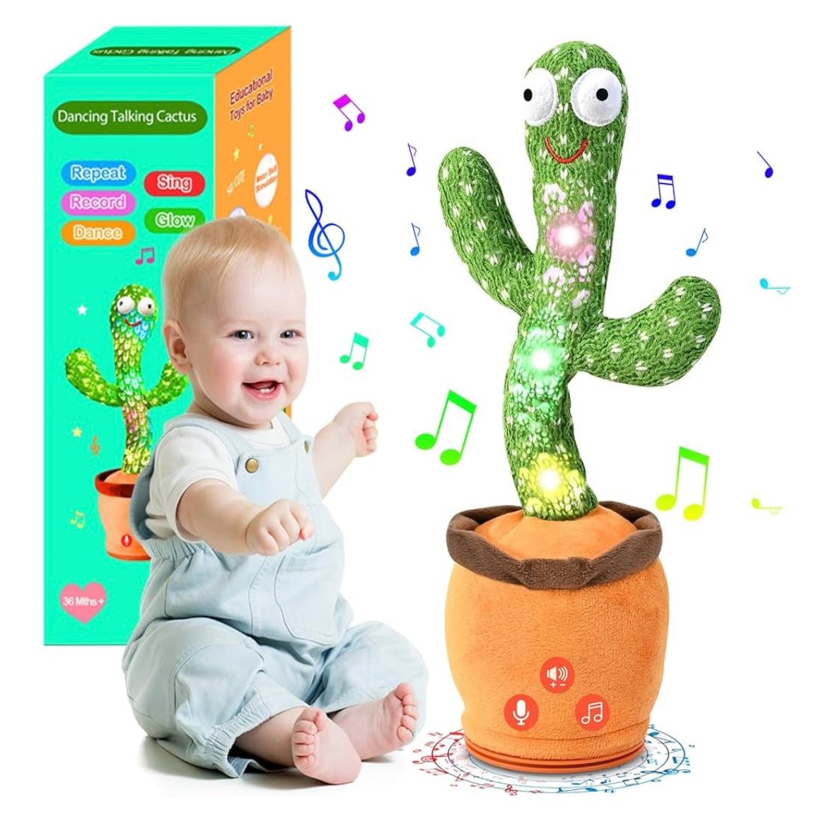 Dancing Cactus