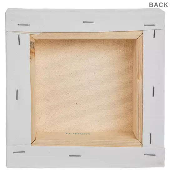 6x6 Blank Canvas Set