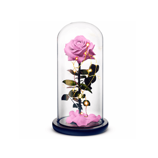 Beauty and The Beast Rose (Pink)