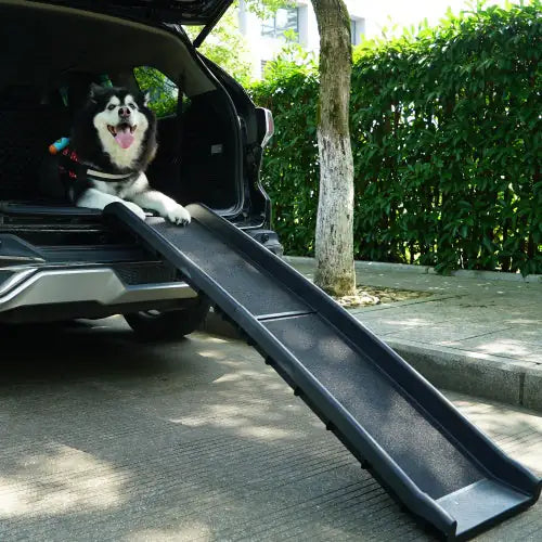 Compact Folding Pet Access Ramp - Black