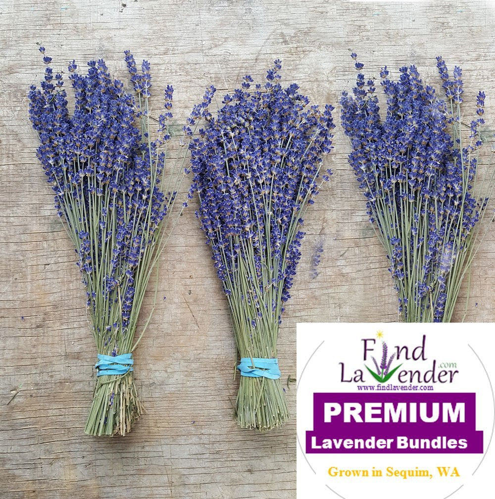 Culinary Lavender Bundles - 14" - 18" Long