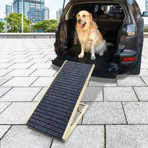 PawPal Comfort Ramp: Extra Wide, Non-Slip for Sofa & Car