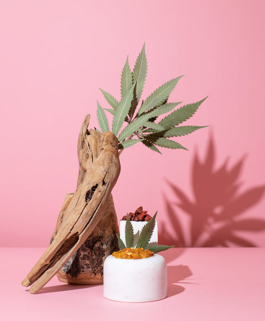 goji berry & hemp™ fragrance oil