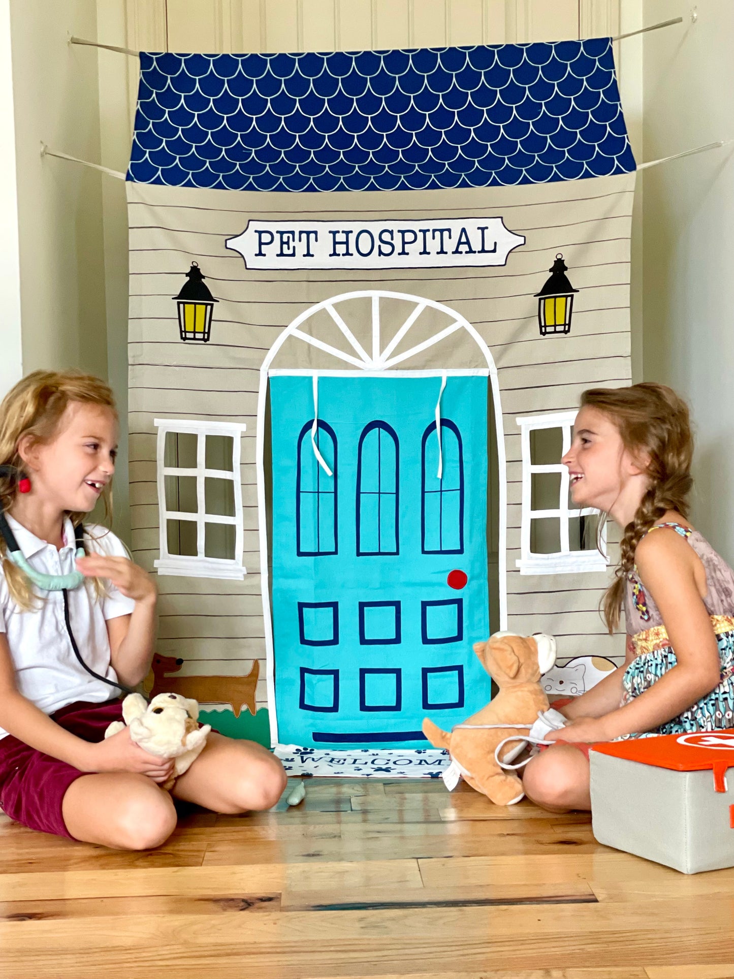 Pet Hospital Doorway Storefront with Vet's Kit