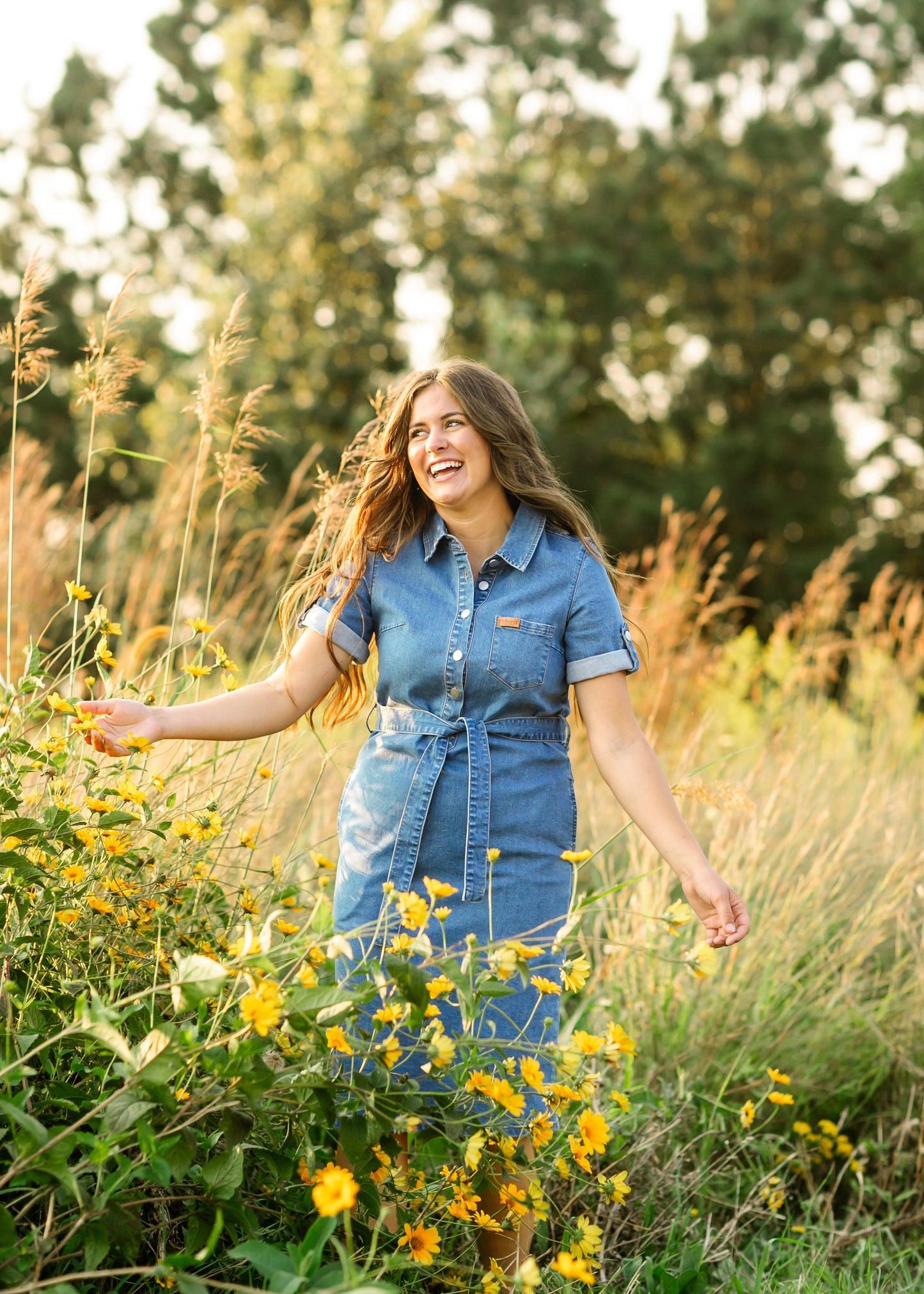 Denim Midi Dress