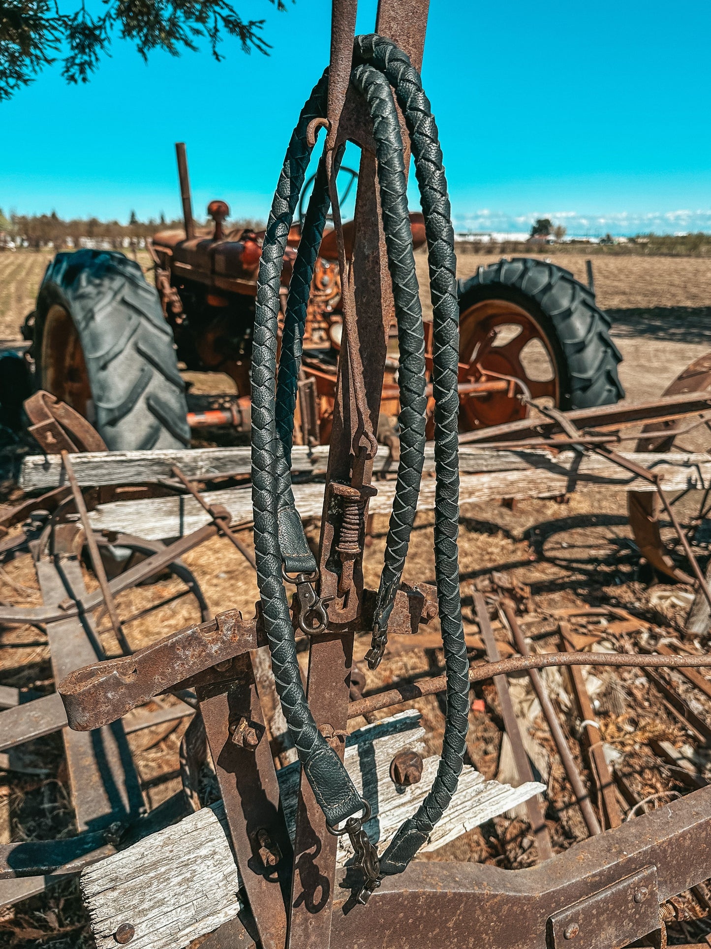 Leather and Southern Hyde tote purse